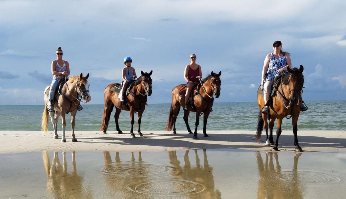 Horseback Riding Along the Texas Gulf Coast Galveston Island Guide