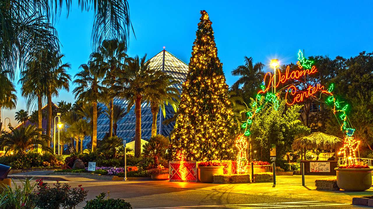 Moody Gardens ICELand, & Festival of Lights Open Till Jan. 12th