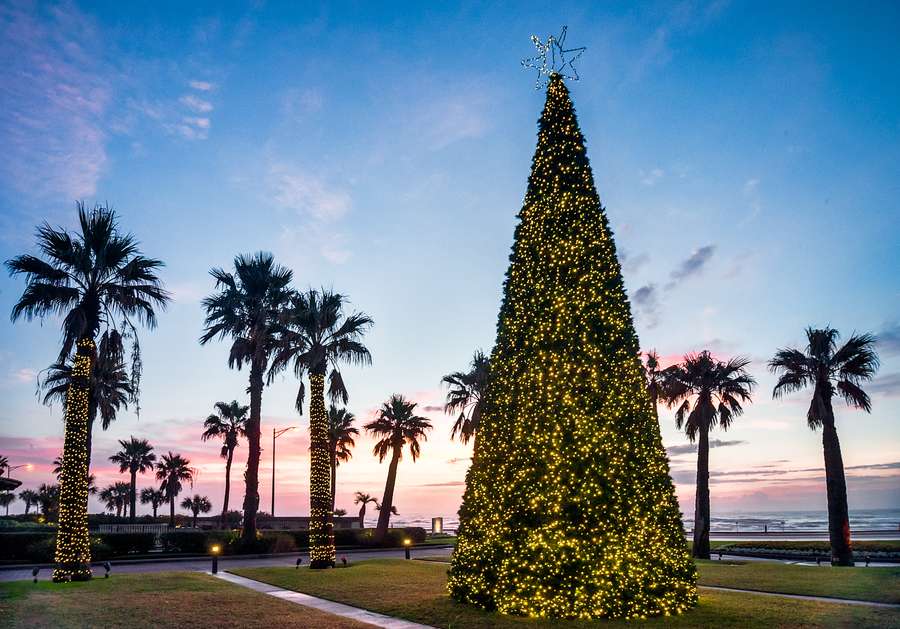 Moody Gardens Offers Safe and Joyful Celebration at Holiday in the