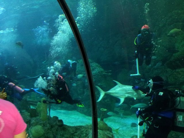 Moody Gardens at Galveston, TX